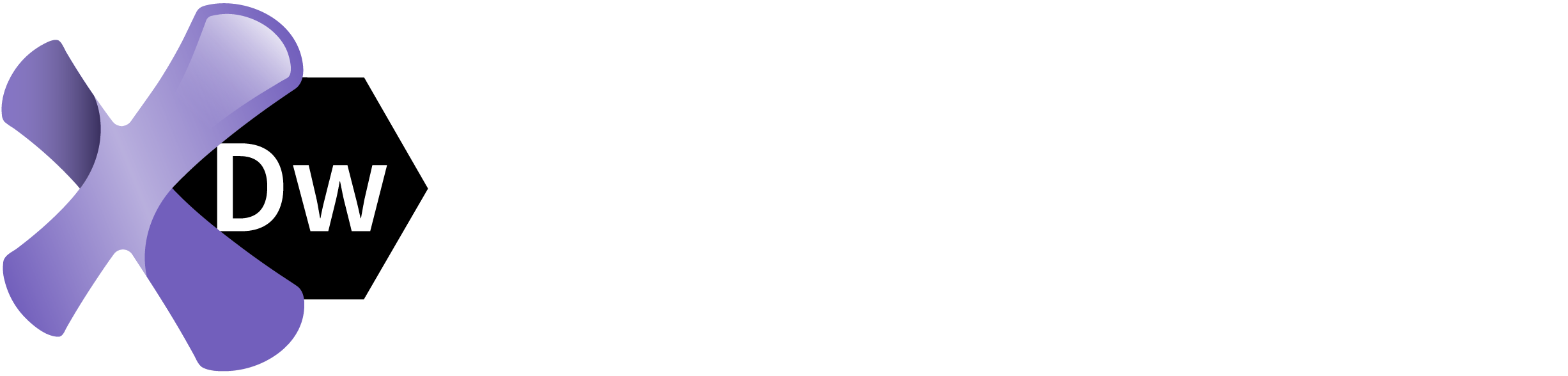 Ranorex DesignWise Logo
